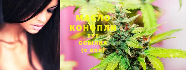 дмт Богородицк