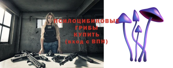 мдпв Беломорск