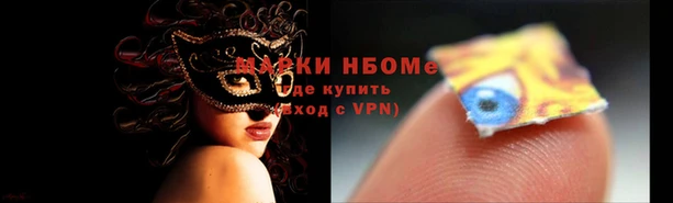 СК Белокуриха