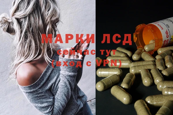 дмт Богородицк
