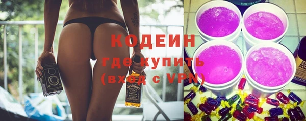 дмт Богородицк